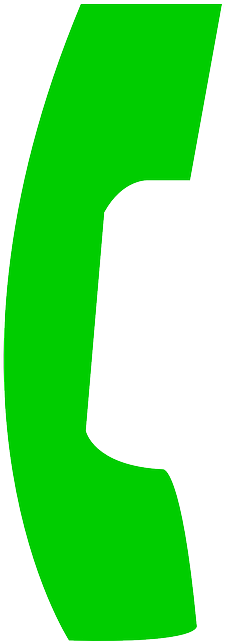 Phone, Icon, Wireless, Cell, Telephone, Free, Number - Green Call Phone Icon (320x640)