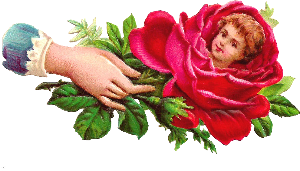 Victorian Era Roses In A Bowl Flower Clip Art - Victorian Era Roses In A Bowl Flower Clip Art (1178x725)