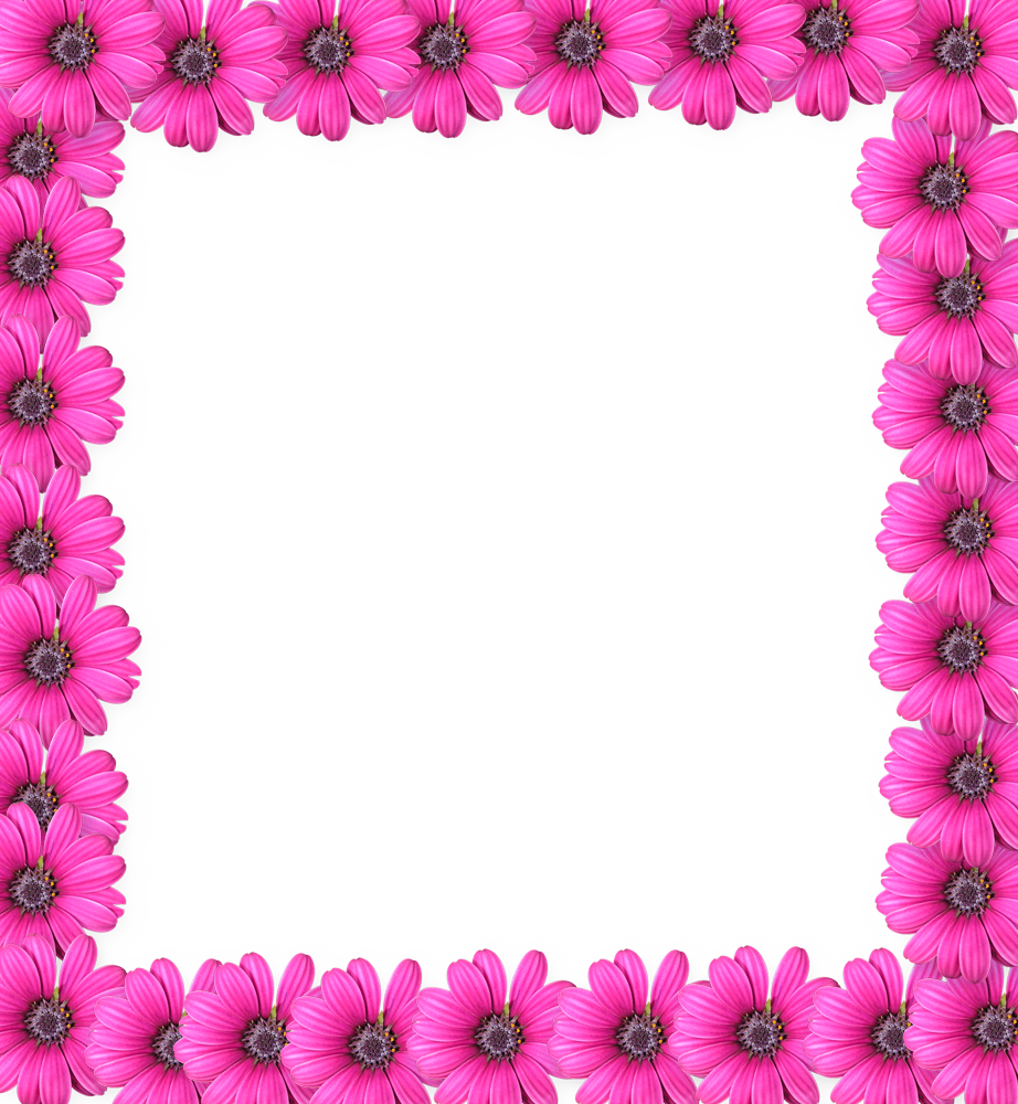 Pink Flower Frame Png - Dil To Sb Ke Pass Hota Hai Lekin Sab Dilwale Nahi Hote (922x1000)