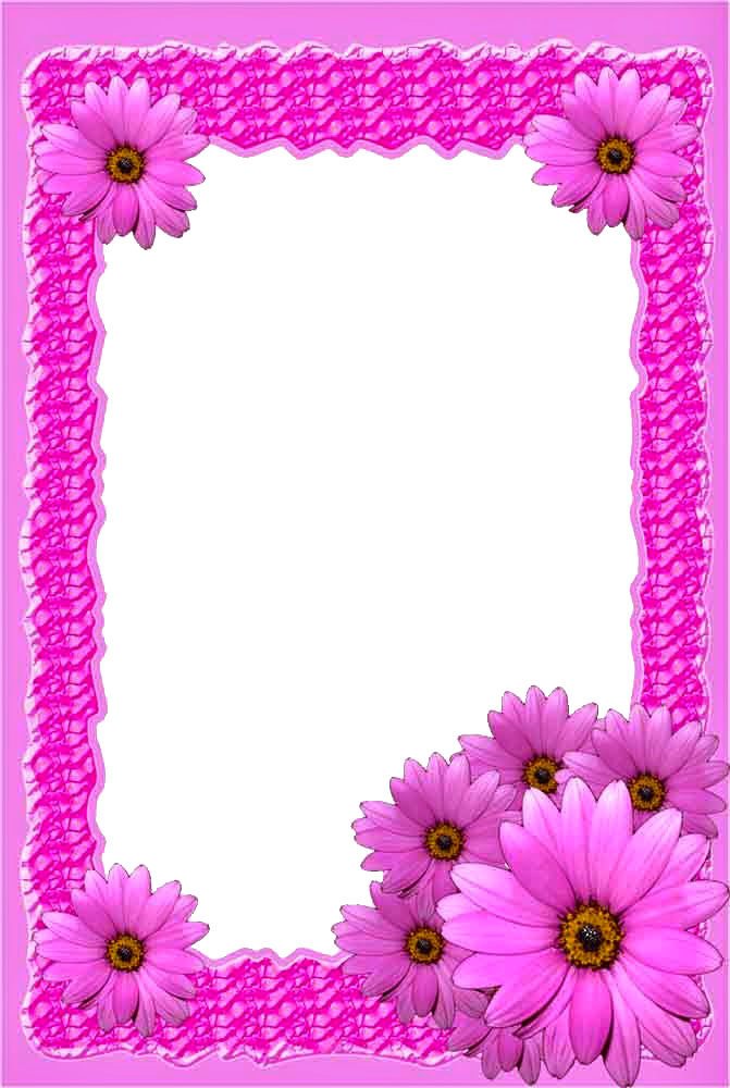 Pink Flower Png Frame - Frame Background Free Download Png (671x1000)