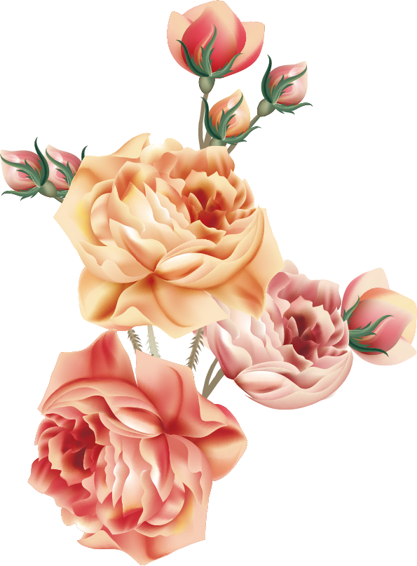 Garden Roses Centifolia Roses Napkin Victorian Era - Beautiful Victorian Roses Throw Blanket (595x807)