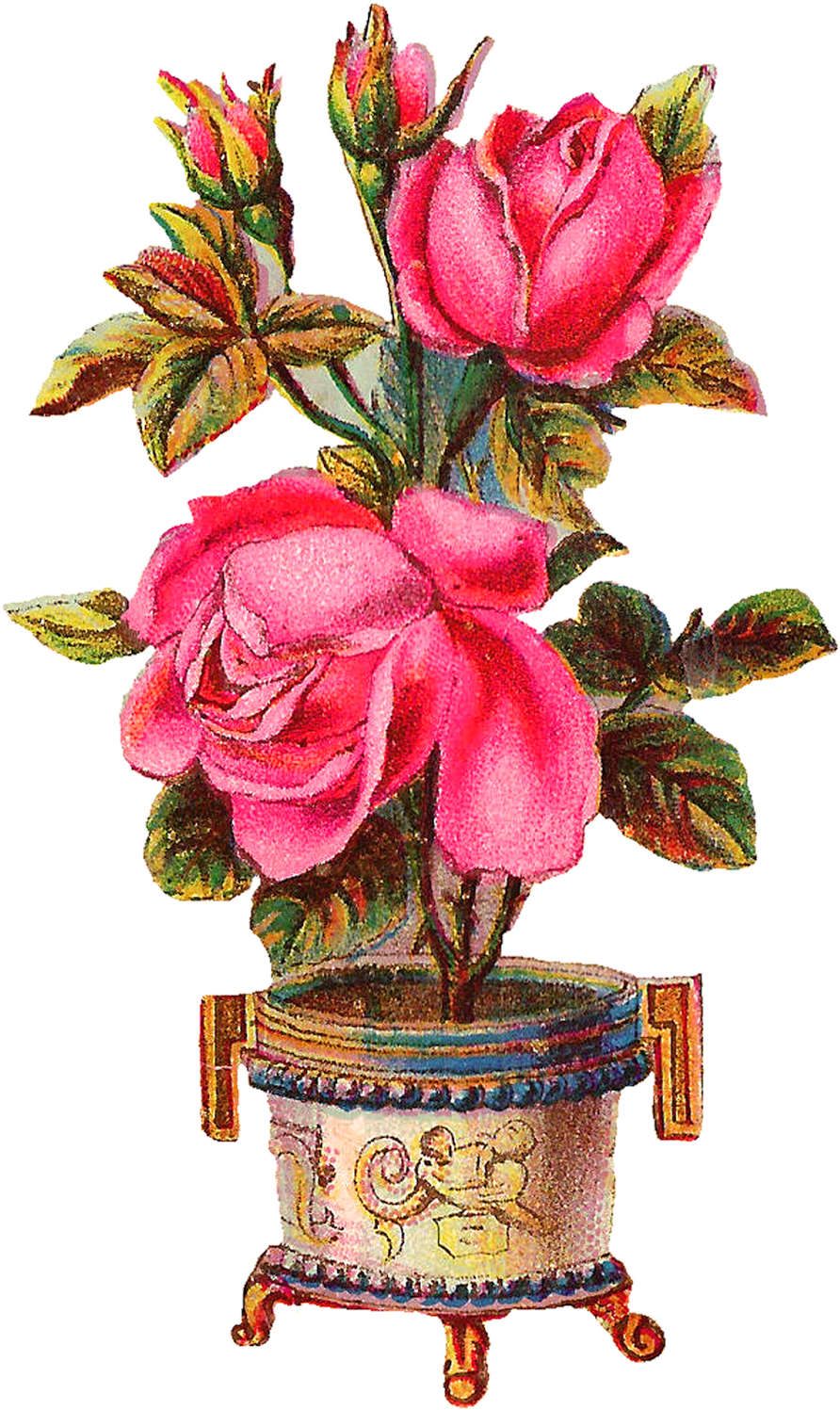 Vase Clipart Victorian - Flowers Vase Vintage Png (992x1600)