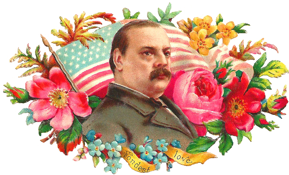 Grover Cleveland Flower United States Victorian Era - Grover Cleveland Flower United States Victorian Era (1206x774)