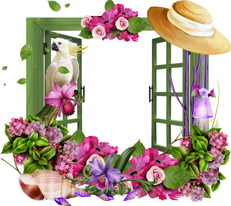 Tropical Frames, Frame Clipart, Vintage Stationary, - Window (800x713)