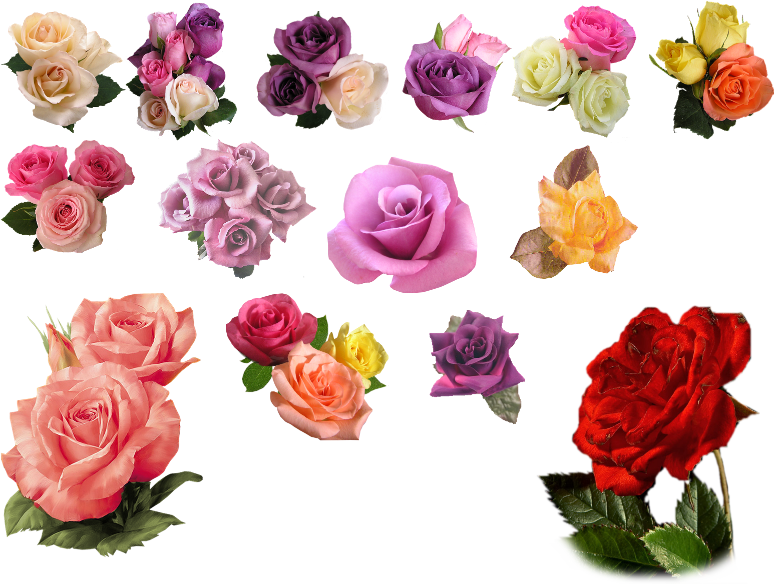 Rose Png - Deviantart Png Roses (1600x1200)