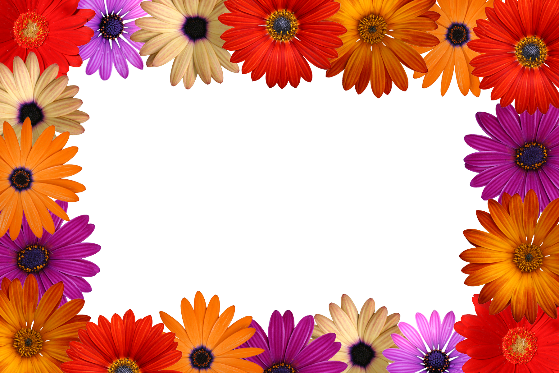 Sample Files - Flower Frameimages (1800x1200)