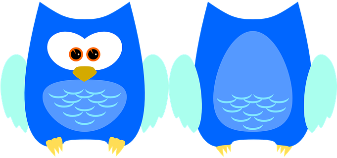 Owl Bird Animal Plumage Cute Feather Birds - รูป นก ฮูก การ์ตูน น่า รัก (680x340)