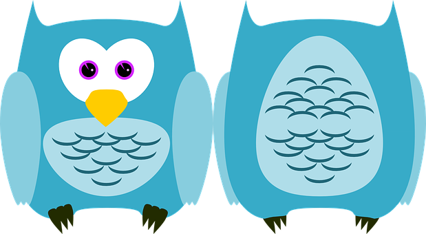 Owl Bird Animal Plumage Cute Feather Birds - Turquoise Owl Round Ornament (619x340)