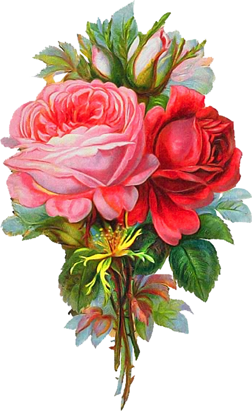 Vintage Prints, Clip Art, Shelf, Victorian, Drawings, - Flowers Bouquet Tumblr Png (491x800)