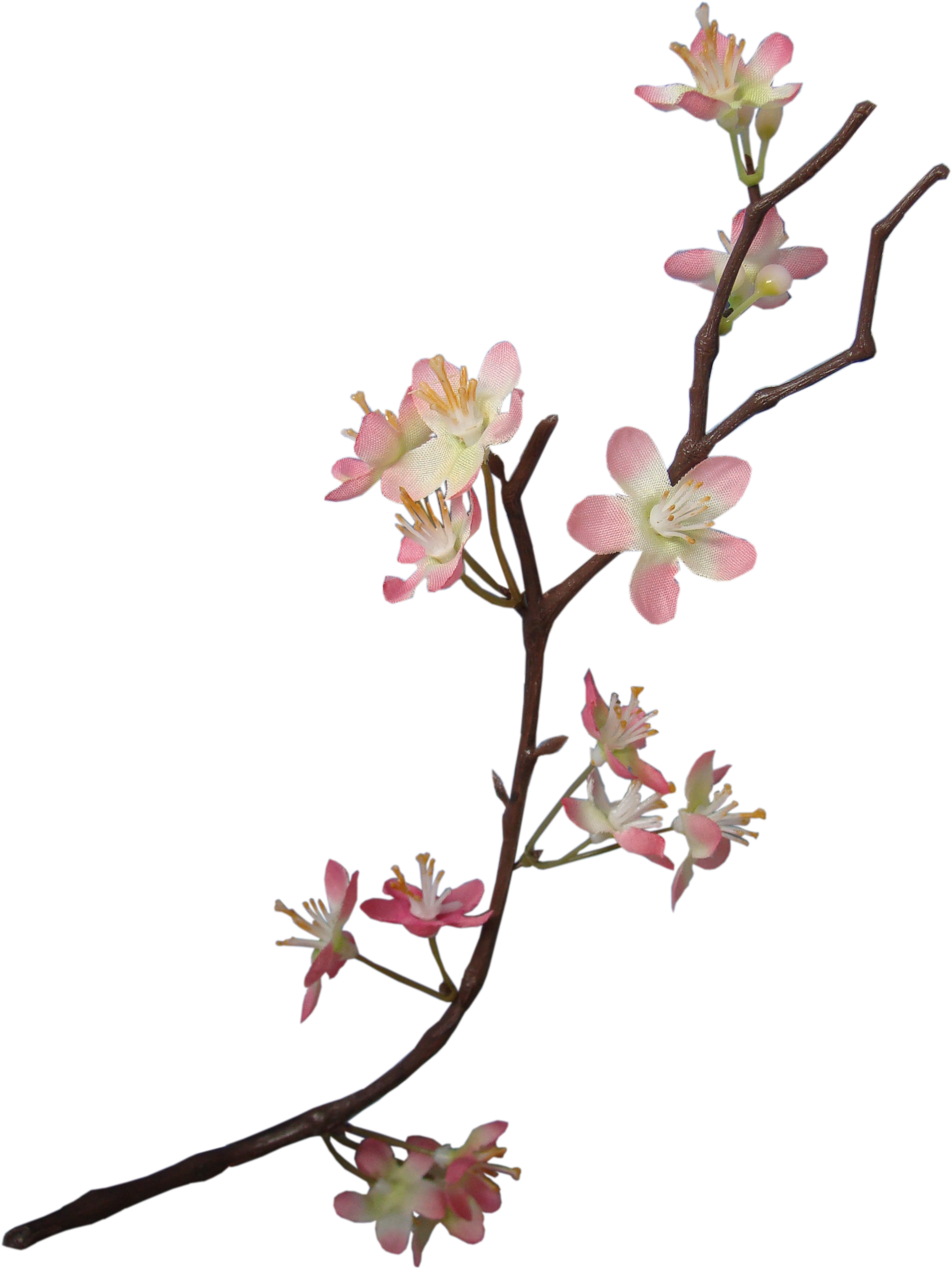 Flower Paper Floral Design Embellishment Scrapbooking - Flower Paper Floral Design Embellishment Scrapbooking (2568x3488)