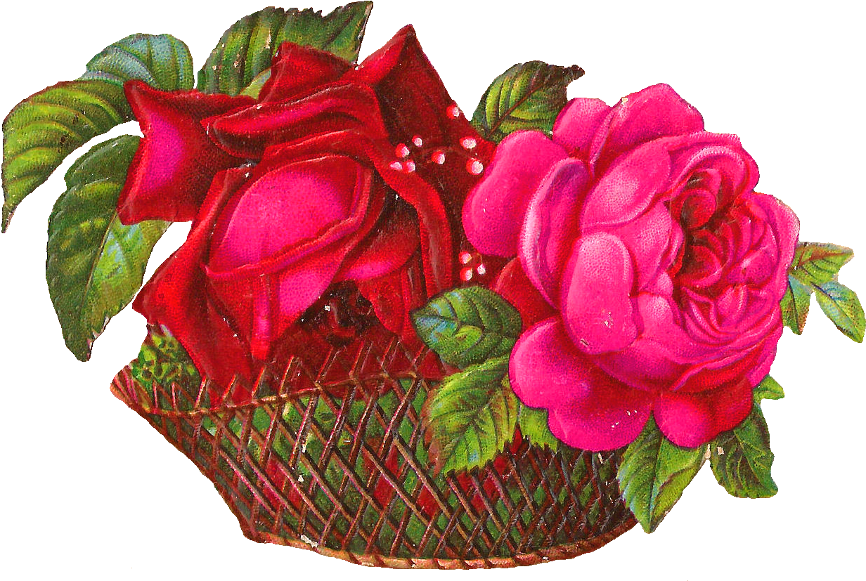 Cut Flowers Garden Roses Flower Bouquet Floral Design - Cut Flowers Garden Roses Flower Bouquet Floral Design (1328x897)