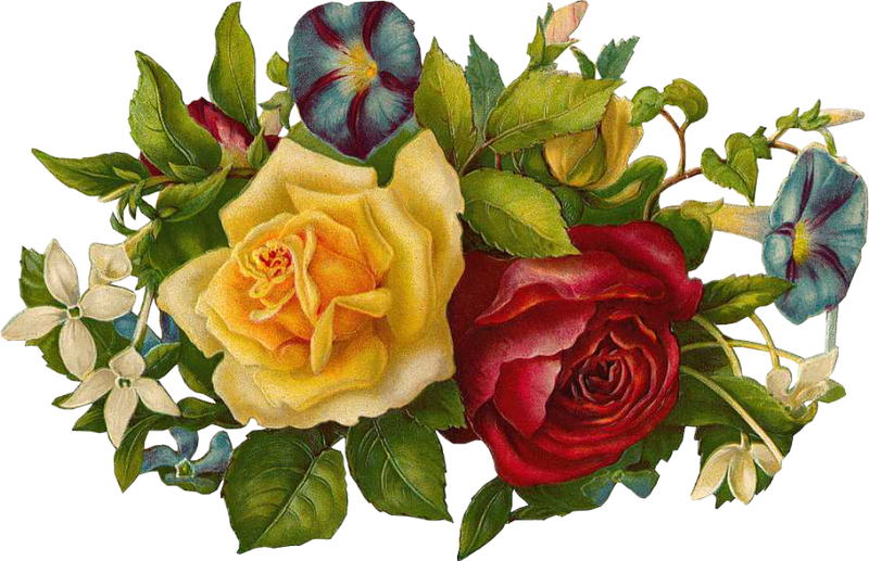 Victorian Era Clip Art - Beautiful Gif For Flowers (800x517)