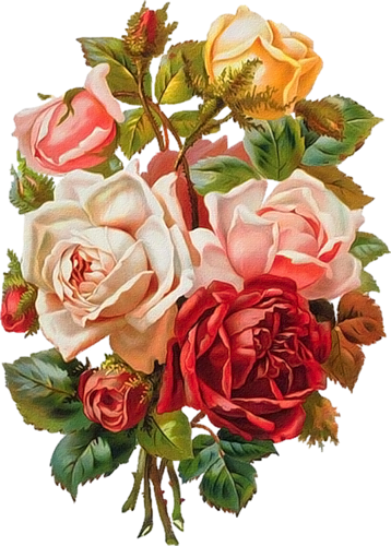 Винтажные Цветы В Png Для Декупажа - Mother's Day Roses Throw Blanket (358x500)