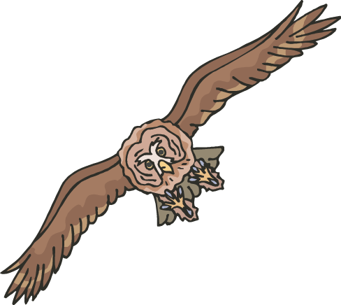 Owl - Flying Owl Clip Art (488x436)