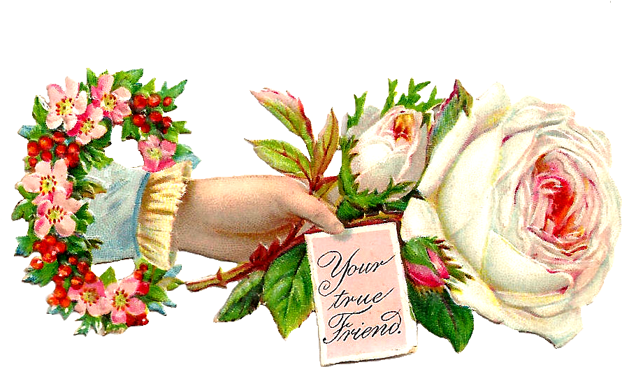 Victorian Era Rose White Clip Art - Victorian Era Rose White Clip Art (1073x639)