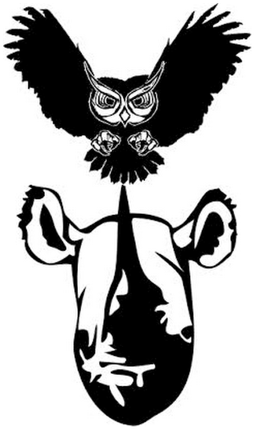 Photo - Stickalz Llc Owl Vinyl Wall Art Sticker (530x879)