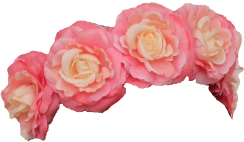Image Image - Transparent Tumblr Flower Crown (493x287)