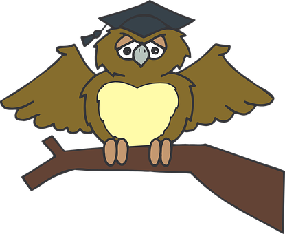 Owl Graduate Sitting Tree Branch Brown Wea - Owl Graduation Clip Art Png (415x340)