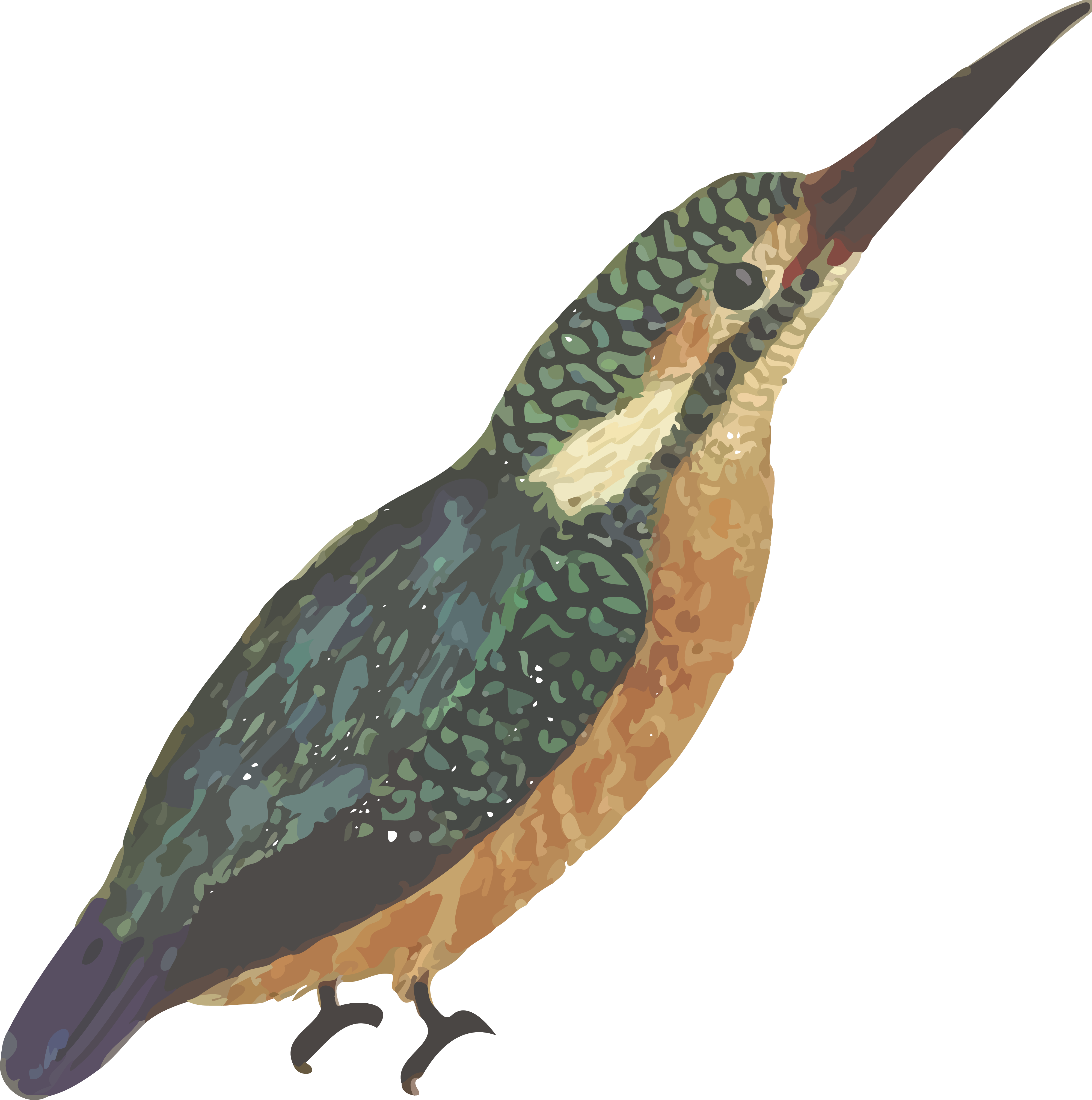 Free Clipart Of A Kingfisher Bird - Posterazzi Common Kingfisher, Alcedo Ispida, Alcedo (4000x4029)
