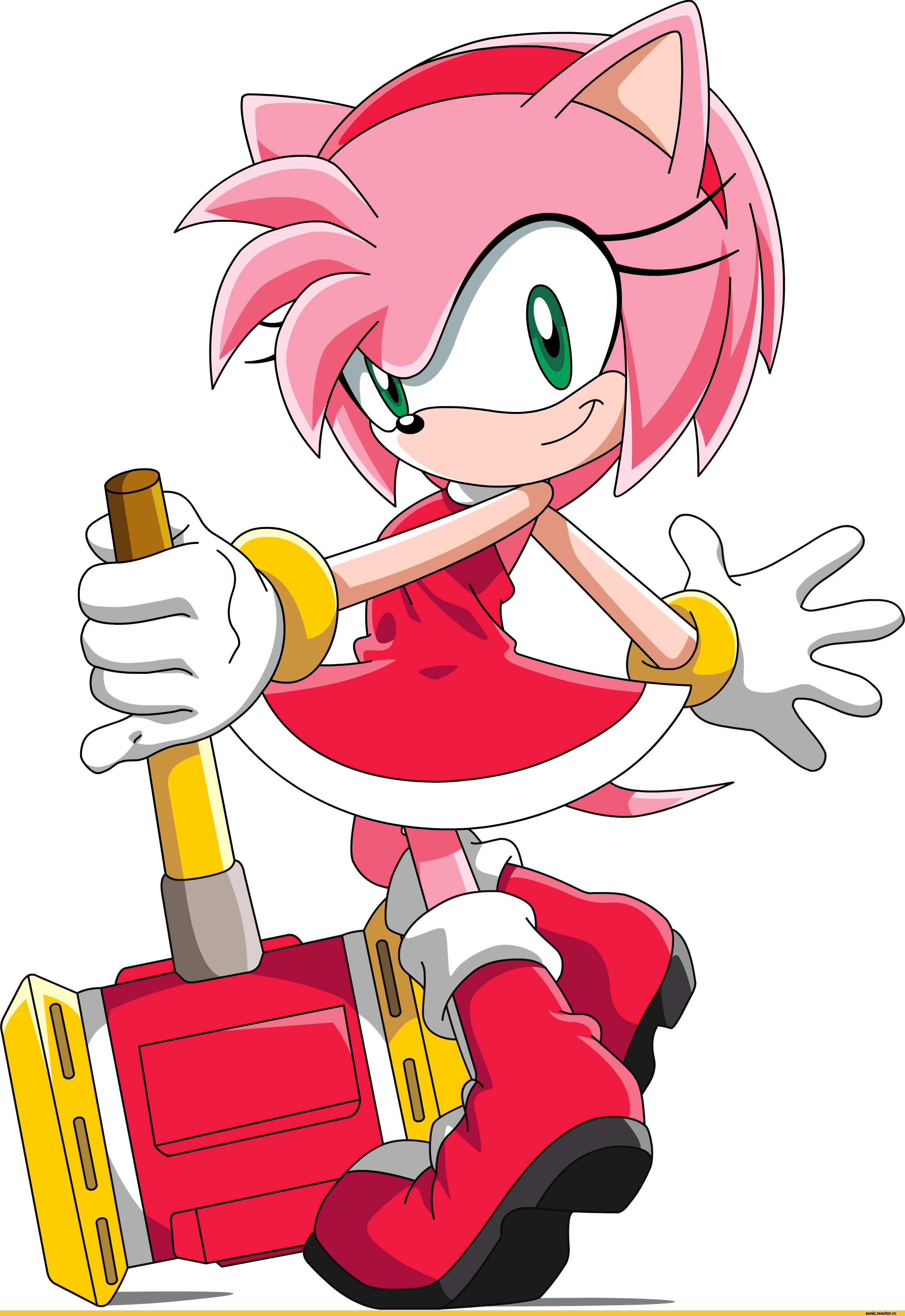 Amy Rose - Amy Rose Sonic X (2257x3281)