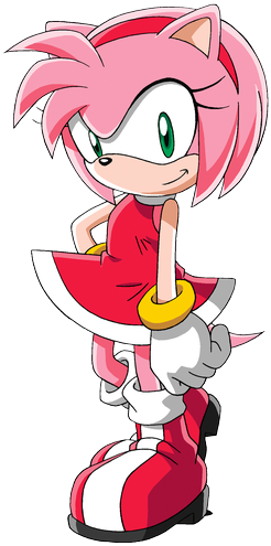 Amy Rose - Amy From Sonic X (255x500)