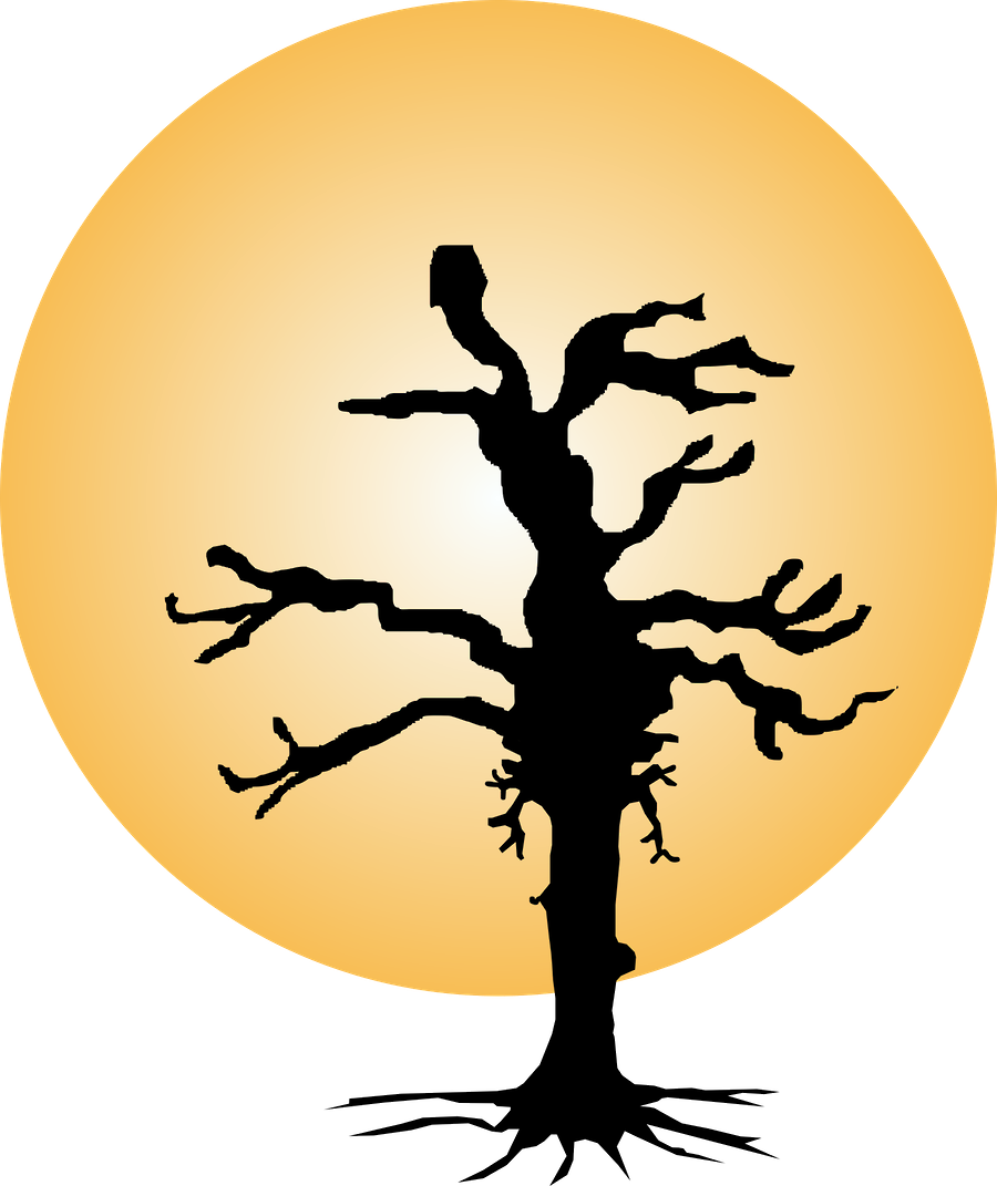 Halloween Owlhalloween Clipartclip - Silhouette (1680x2000)