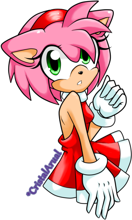 Blaze The Cat Amy Rose - Amy Rose (774x1032)