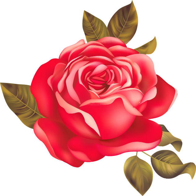 Garden Roses Centifolia Roses Beach Rose Red - Rose (634x631)
