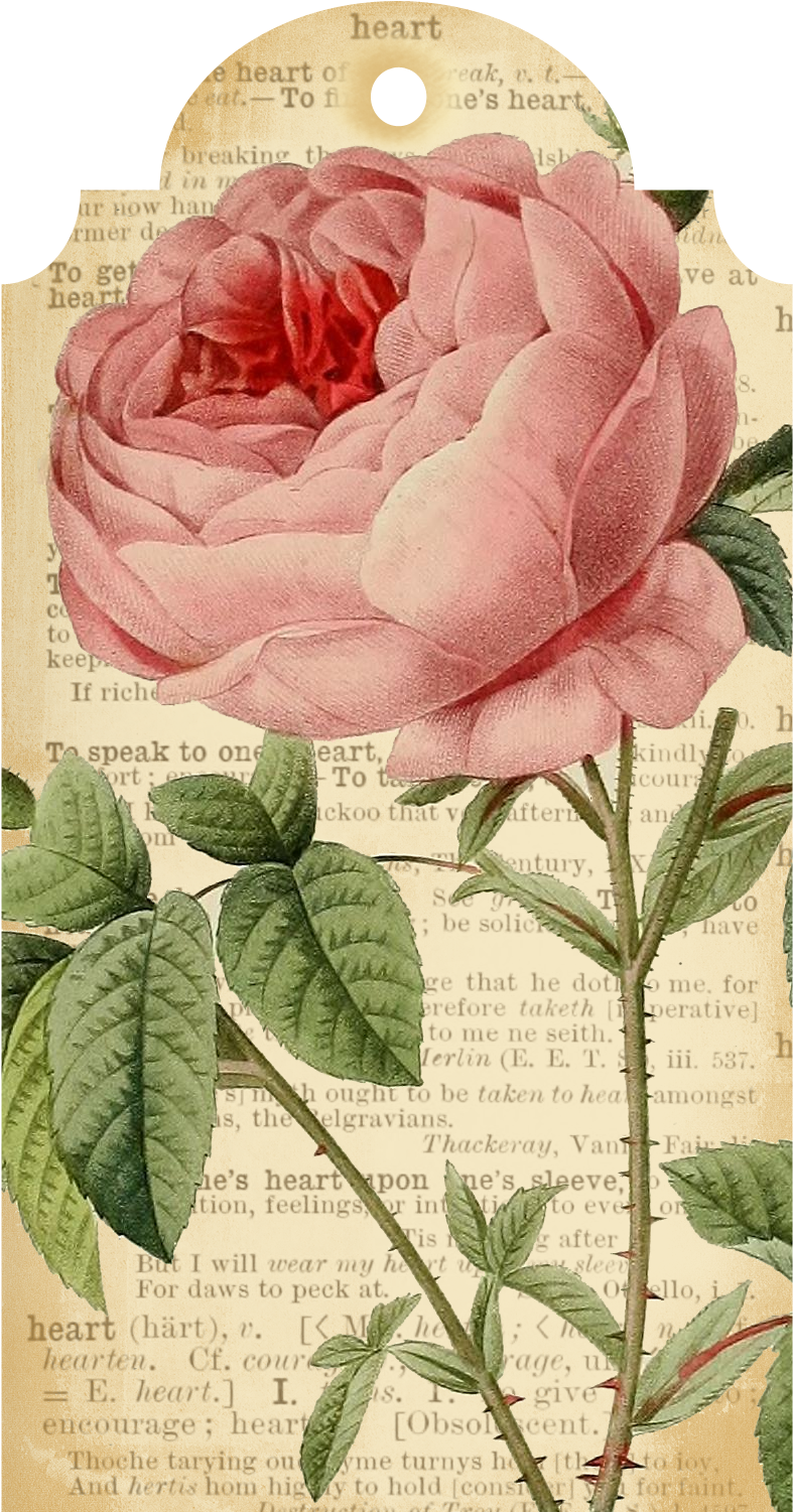 Callmevictorian Free Flower Printable Tags - Amadeus Georg Philipp Telemann Kleine Kammermusik Vlnrec (1100x1700)