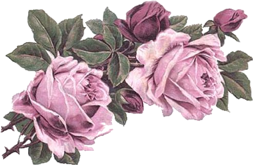 Rose Art, Vintage Flowers, Victorian Flowers, Rose - Vintage Pastel Flower Png (500x337)
