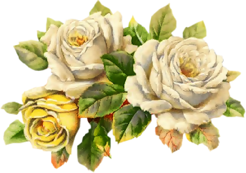 Mod Article1023861 16 - Yellow Rose Twitter Header (500x352)