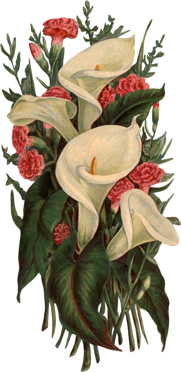 Victorian Era Flower Bouquet Lilium Clip Art - Victorian Era Flower Bouquet Lilium Clip Art (813x1578)