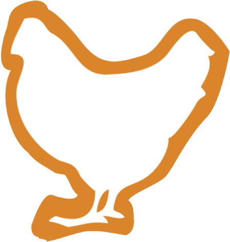 Heat Stress Challenges Bird Health And Production - Rooster (500x508)