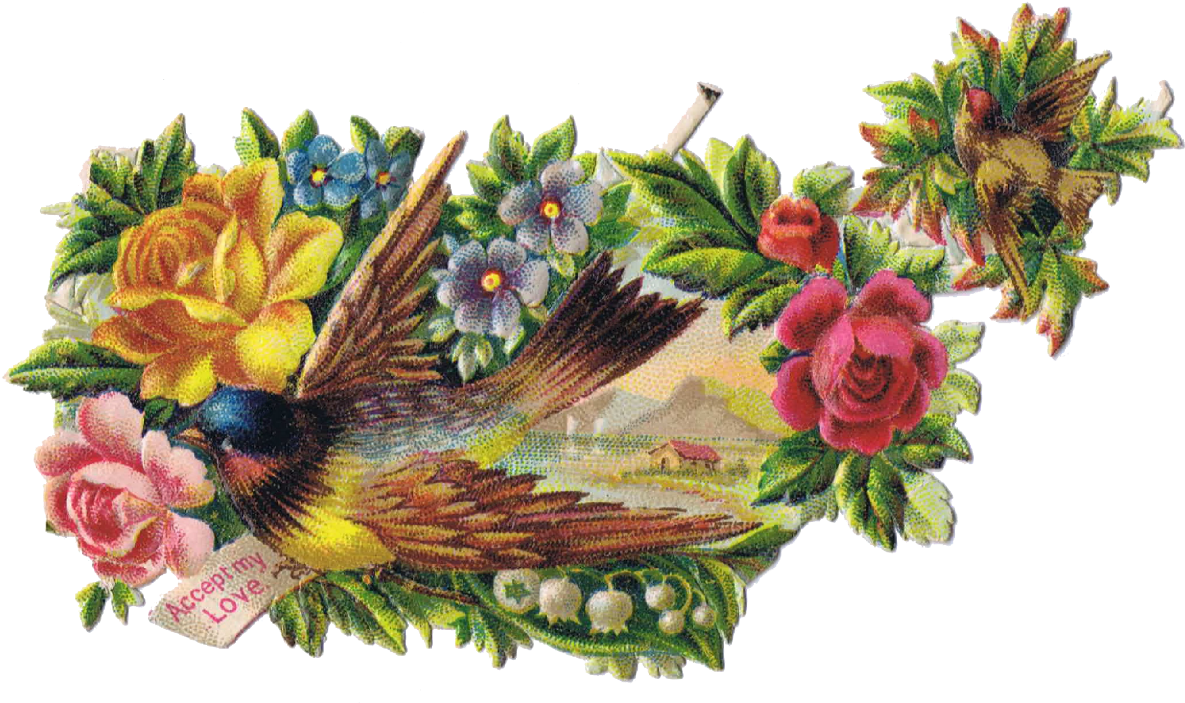 Brds Clipart Vintage - Vintage Birds Clipart Png (1215x716)