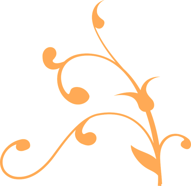 Orange Flower Clipart Flower Creeper - Tree Branch Clip Art (739x720)