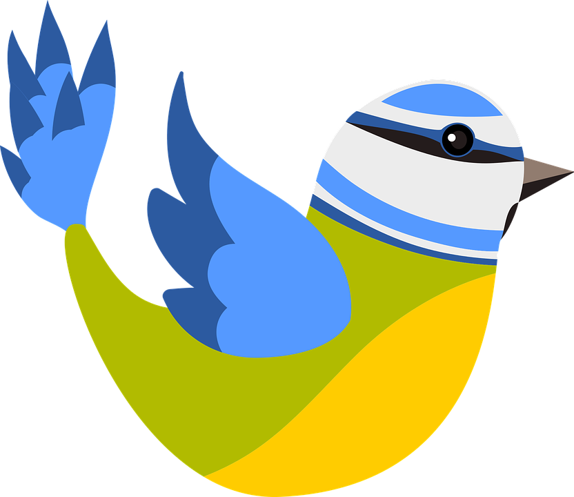 Tit, Parus Caeruleus, Cyanistes Caeruleus, Bird Wild - .pl (832x720)