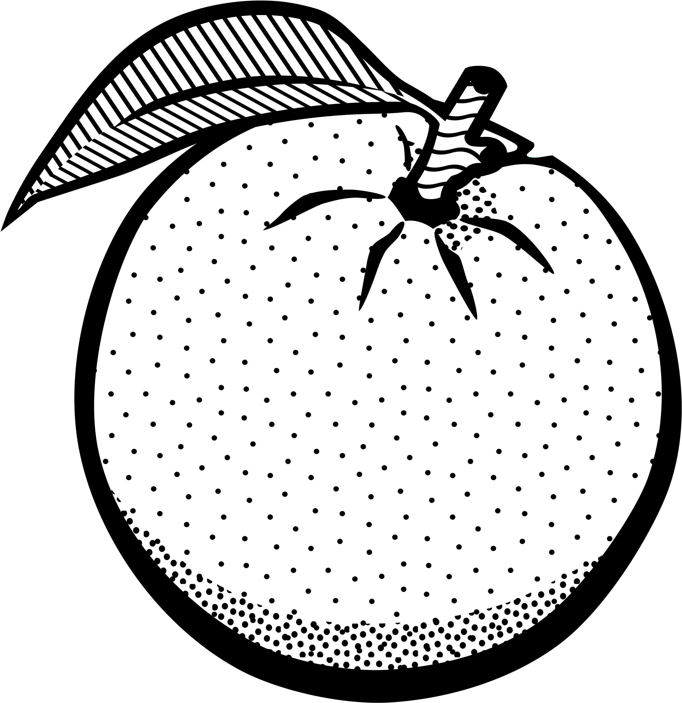 Orange - Lineart - Orange Clipart Black And White (2325x2400)