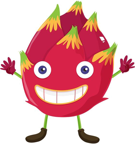 Pitaya Tropical Fruit Illustration - Pitaya Tropical Fruit Illustration (561x600)