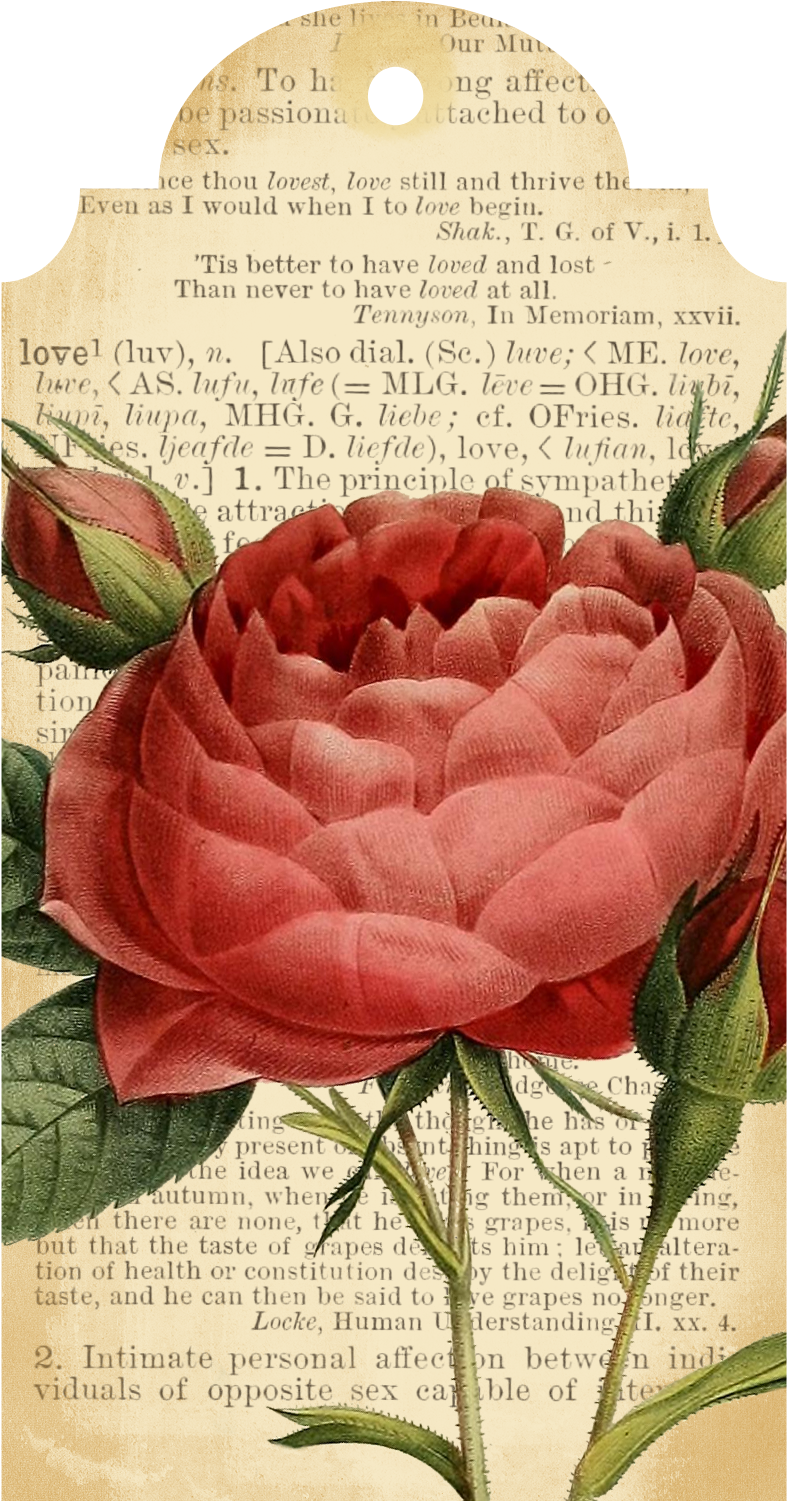 Callmevictorian Free Flower Printable Tags - Callmevictorian Free Flower Printable Tags (1100x1700)