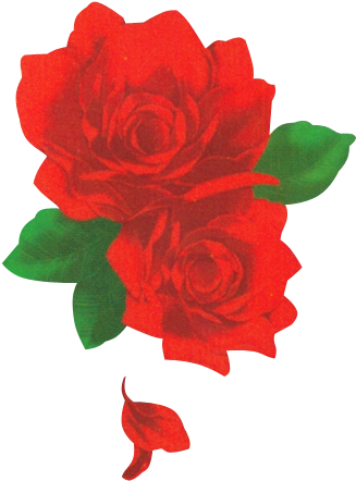 Garden Roses Red Beach Rose Flower - Garden Roses Red Beach Rose Flower (600x500)