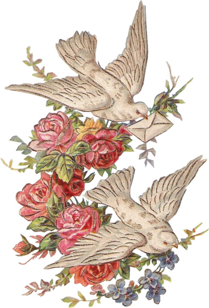 070611marrkit0010 - Hummingbird (800x1180)