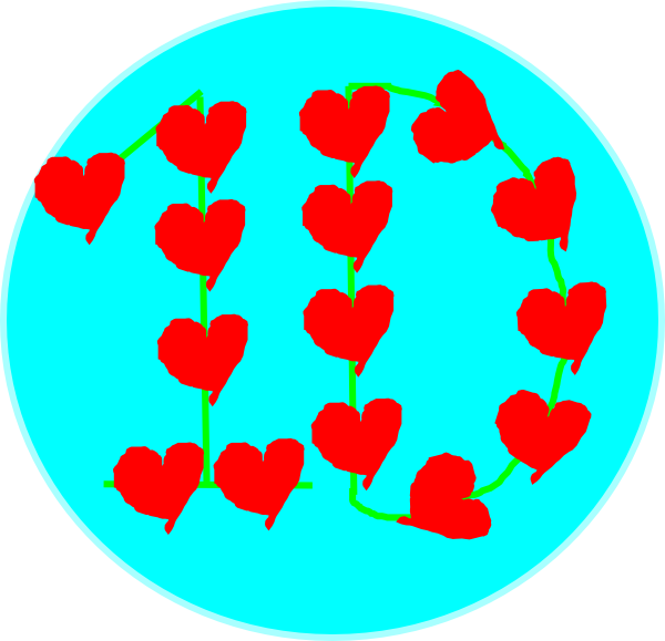 One Direction (600x579)