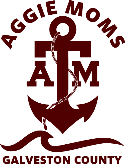 Which Conference Should You Attend - Texas A&m Health And Kinesiology (399x524)