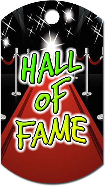 Hall Of Fame Student Award - Graphic Design (390x645)