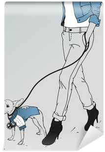 Vector Girl Walking Wih A Little Dog Wall Mural • Pixers® - Dog (400x400)