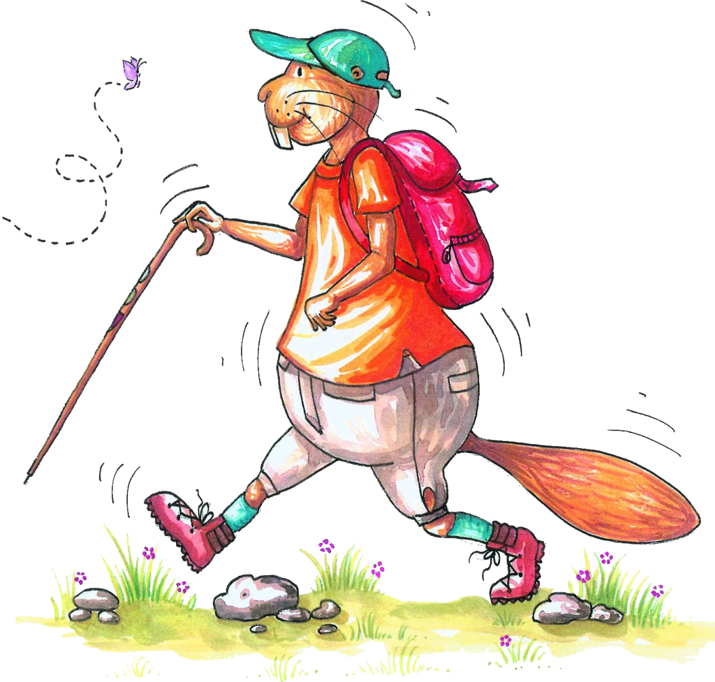 Hausen Soll Für Die Schönheiten Und Besonderheiten - Illustration (1024x977)