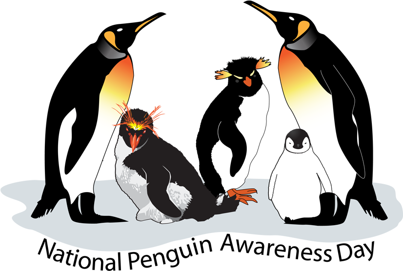 Today, January 20, Is Penguin Awareness Day - Penguin Awareness Day (825x567)