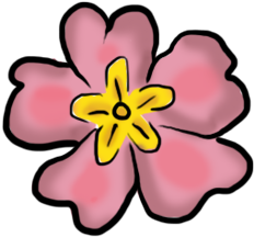 Click Here To Visit The Hortensia And The Magical Brain - Hibiscus (428x417)