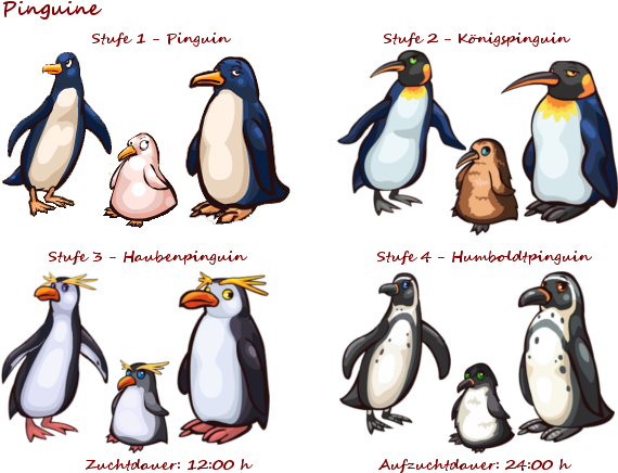 Pinguin590 - King Penguin (590x450)