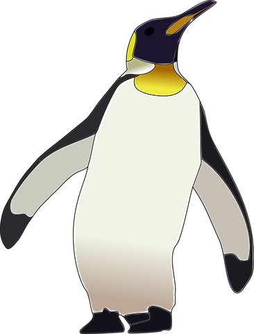 The Pecker - Dibujo De Pinguino Emperador (366x480)